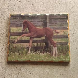 Retro Western Horse Wall Decor